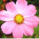 表示心情郁闷的表情包8