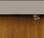 微信上恐怖的表情包11