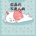 文文什么意思5 文文什么意思5