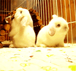 比喻下载的QQ表情5