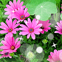 正确道歉表情包5