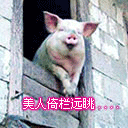 萌萌的搞笑表情2 萌萌的搞笑表情2