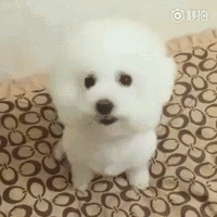 美女作爱有声动态表情老外视频大全15 美女作爱有声动态表情老外视频大全15