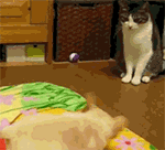 表情图片加油手绘3