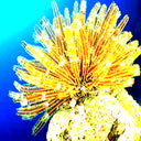 爱心微信文字表情包1