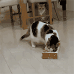 表情emoji组合可爱3 表情emoji组合可爱3