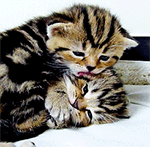 微信消息表情图案7