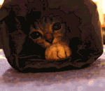 沙雕黑客青蛙表情包gif5 沙雕黑客青蛙表情包gif5