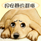 群冷清没人表情包7 群冷清没人表情包7