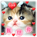 有哪些搞笑的表情包知乎3 有哪些搞笑的表情包知乎3