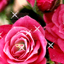 黑魂3恶搞表情2