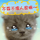 猪年微信表情雨大召唤术14