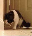 表情包沙雕新闻10 表情包沙雕新闻10