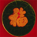 新年祝福领导表情图3