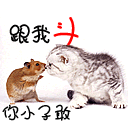 无文字表情包高清图片7