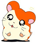 搜索关于生日祝福的表情包1