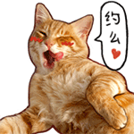 搜狗输入法文字表情在哪9