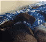 无论的表情4 无论的表情4