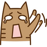 微信买美女表情14