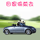 动物尖叫表情包5 动物尖叫表情包5