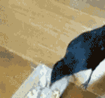 给男生捏肩膀的可爱表情包2 给男生捏肩膀的可爱表情包2