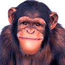 精选10组帅哥的恶搞表情3