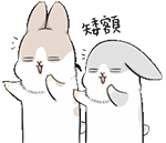 雁北方言表情包2 雁北方言表情包2