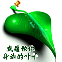 可爱且沙雕的小表情图3