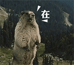 恶搞表情 gif11 恶搞表情 gif11