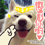 vloger沙雕表情13 vloger沙雕表情13