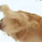 不断的表情20256