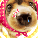 我又来了可爱表情包飞奔7