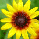 10组体育馆的卖萌表情4 10组体育馆的卖萌表情4