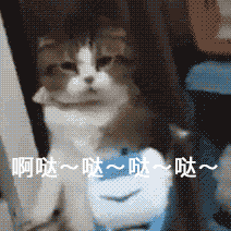 沙雕斗图表情包2025最新10