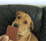 踢门表情5 踢门表情5