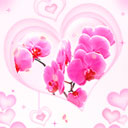 清晨的表情202410