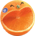 搞笑聊天图片表情大全10 搞笑聊天图片表情大全10