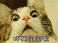 荧光棒表情包gif5 荧光棒表情包gif5