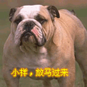 关于表情的图片大全集5 关于表情的图片大全集5