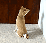 吸烟的表情在哪2 吸烟的表情在哪2