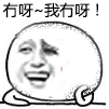 建瓯表情包11 建瓯表情包11