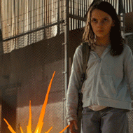 12组狗钱的表情图片9