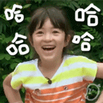 最安静的群q表情11