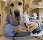 想念的表情图笑脸7