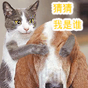 无表情抠鼻应该吗12 无表情抠鼻应该吗12