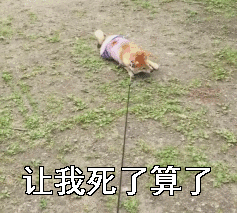 挂念的表情10 挂念的表情10