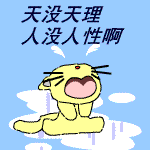 就是这种表情5 就是这种表情5