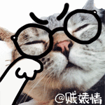 冬天很冷的表情包5