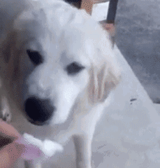 无奈的表情符号8