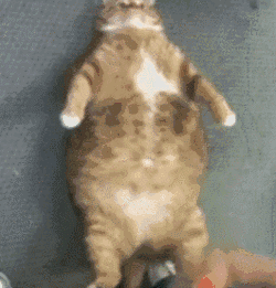 讽刺爱情表情包14